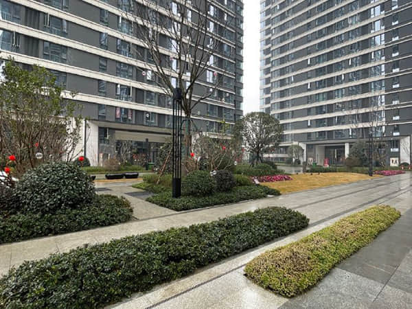 9月26日收评：工业母机概念股逆市走强